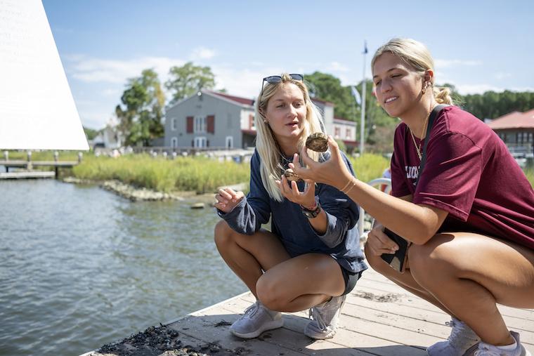 First-year Washington College students explore the Chestertown marina as part of the Orientation Explore program. 